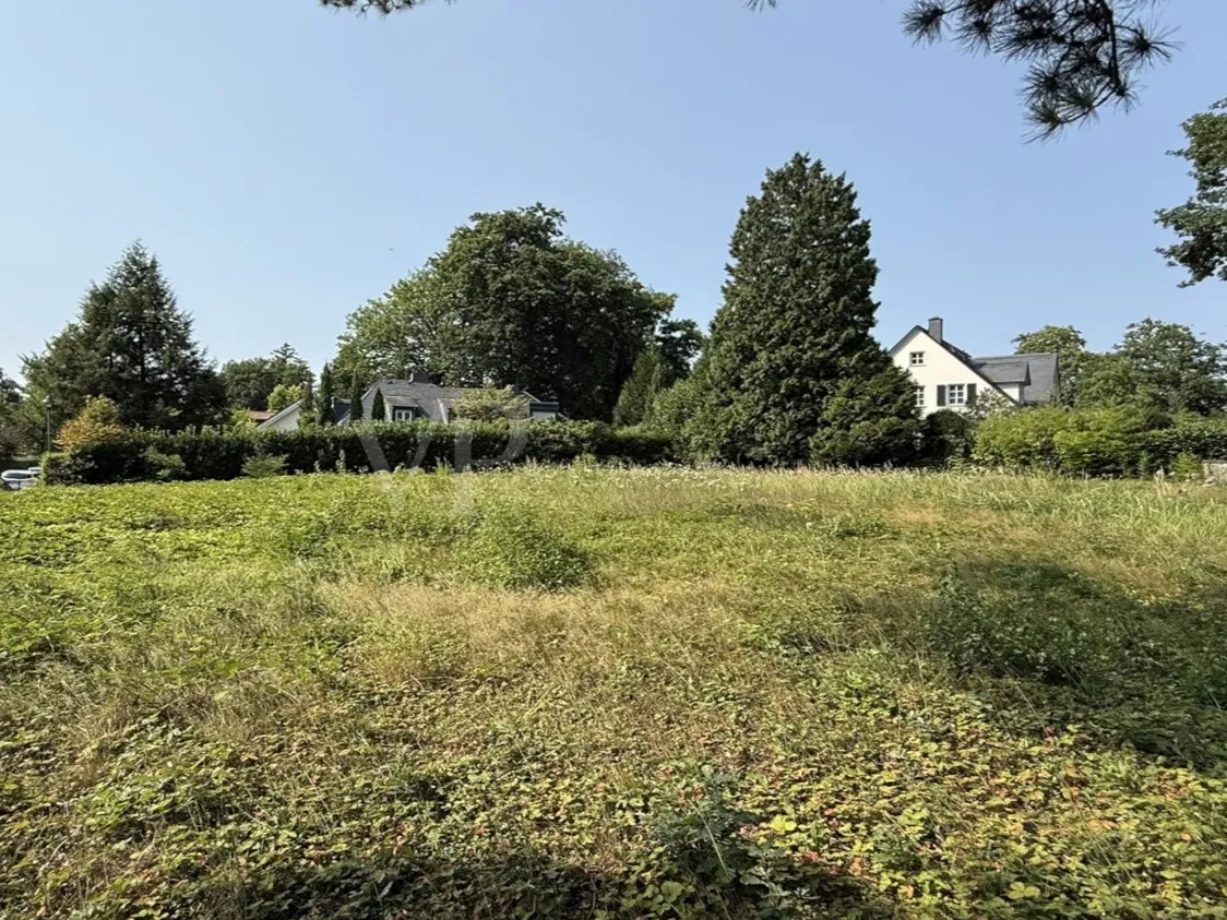 Blick über das Grundstück