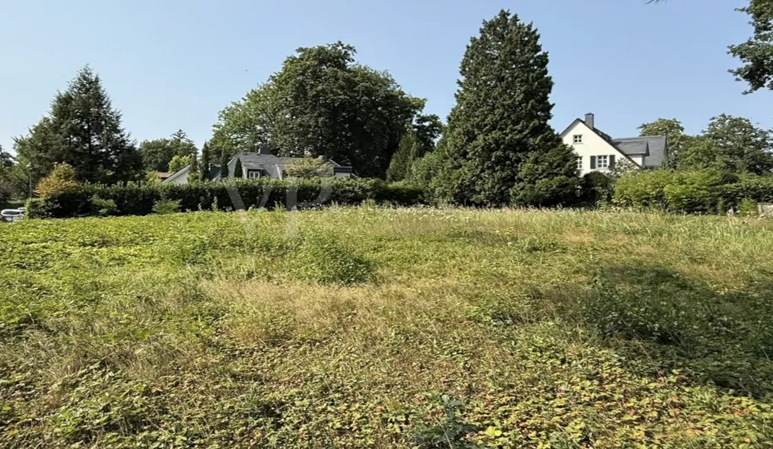 Blick über das Grundstück