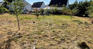 von_poll_real_estate_property_25002071_image_3
