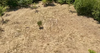 von_poll_real_estate_property_25002071_image_6