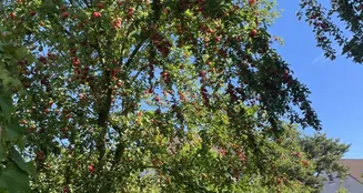 von_poll_real_estate_property_25002071_image_7