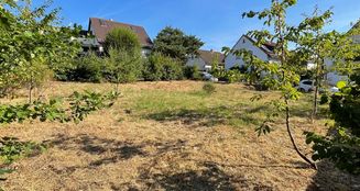 von_poll_real_estate_property_25002071_image_2