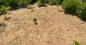 von_poll_real_estate_property_25002071_image_6