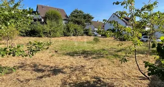 von_poll_real_estate_property_25002071_image_2