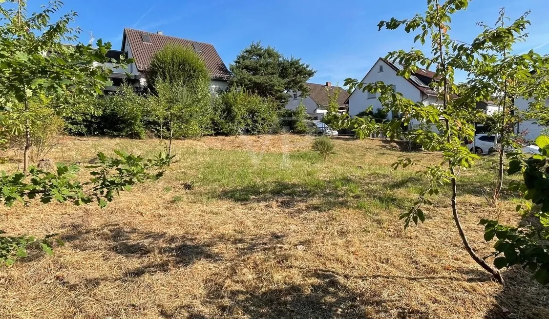 Diagonalansicht von links hinten