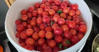 von_poll_real_estate_property_25002071_image_8