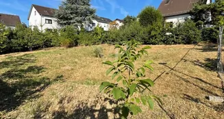 von_poll_real_estate_property_25002071_image_1