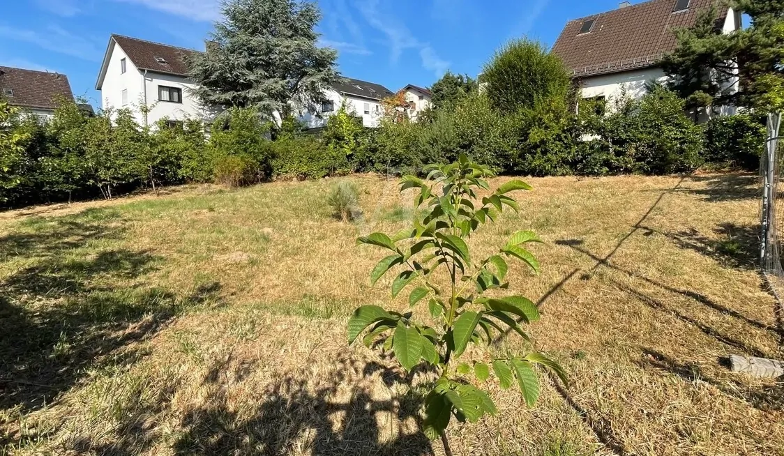 Diagonalansicht links vorne