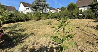 von_poll_real_estate_property_25002071_image_0