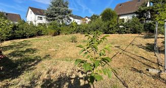 von_poll_real_estate_property_25002071_image_1