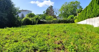 von_poll_real_estate_property_25002064_image_0