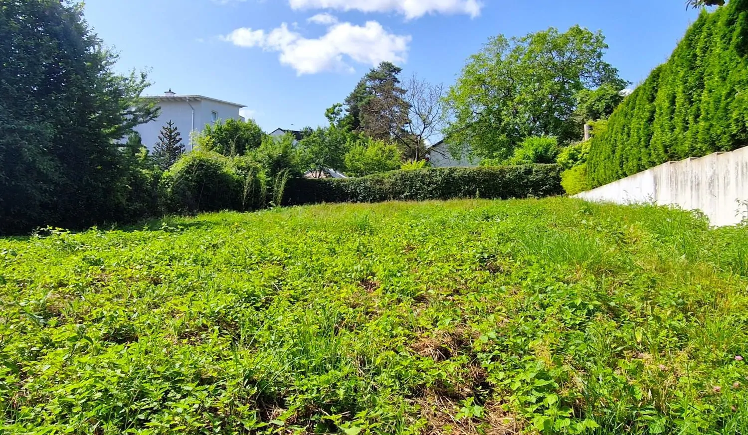 Titelbild mit Rahmen