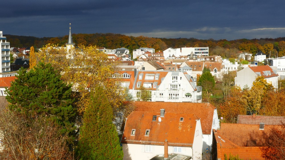 Herbstblick