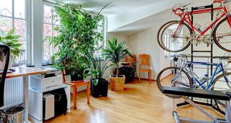 von_poll_real_estate_property_25002026_image_15