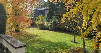 von_poll_real_estate_property_25002089_image_6