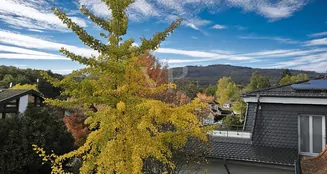 von_poll_real_estate_property_25002089_image_5