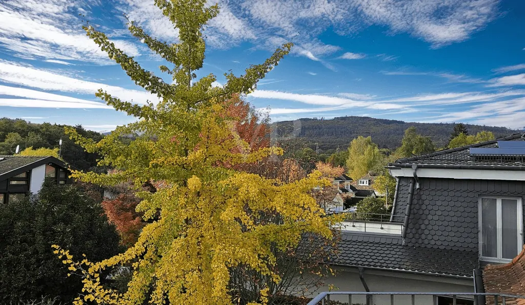 Ausblick Arbeitszimmer