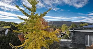 von_poll_real_estate_property_25002089_image_5