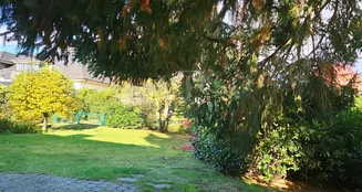 von_poll_real_estate_property_25002089_image_10