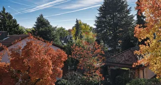 von_poll_real_estate_property_25002089_image_7