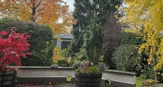 von_poll_real_estate_property_25002089_image_8