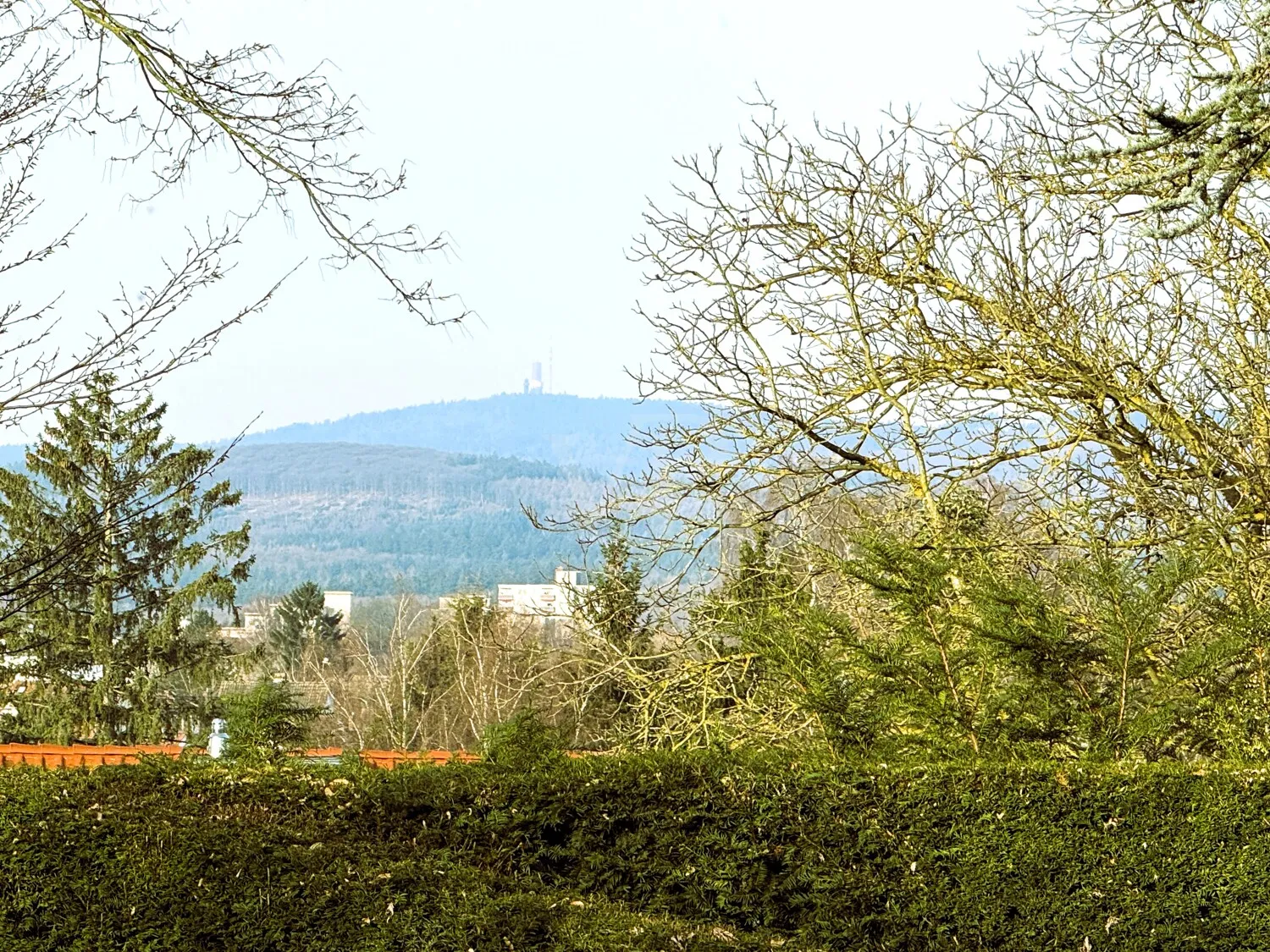Blick auf den Feldberg