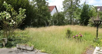 von_poll_real_estate_property_24002065_image_0