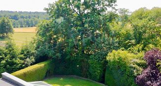 von_poll_real_estate_property_25002067_image_3