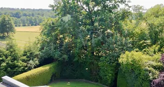 von_poll_real_estate_property_25002067_image_3