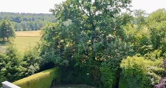 von_poll_real_estate_property_25002067_image_3