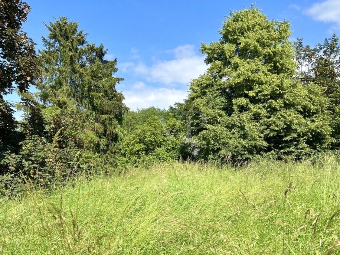 Grundstück