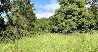 von_poll_real_estate_property_24002052_image_13