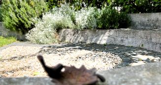von_poll_real_estate_property_25002042_image_12