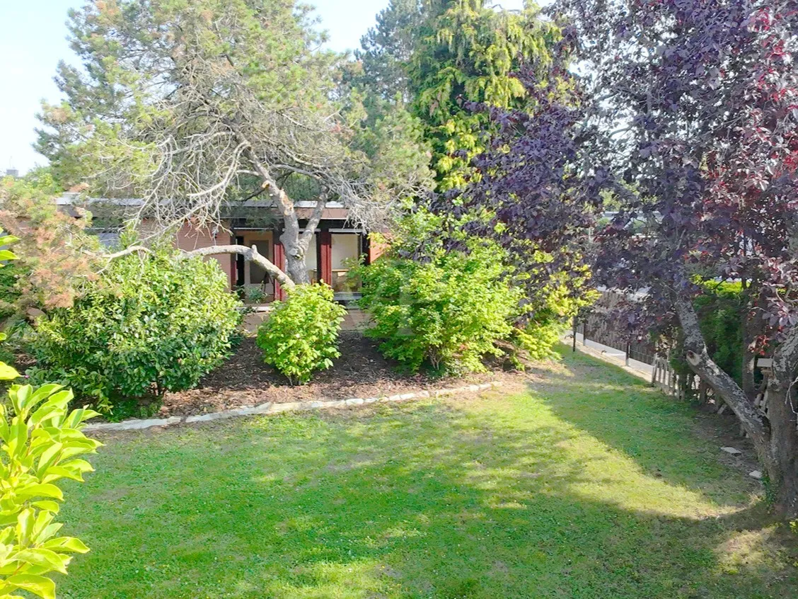 Garten mit Hausansicht II