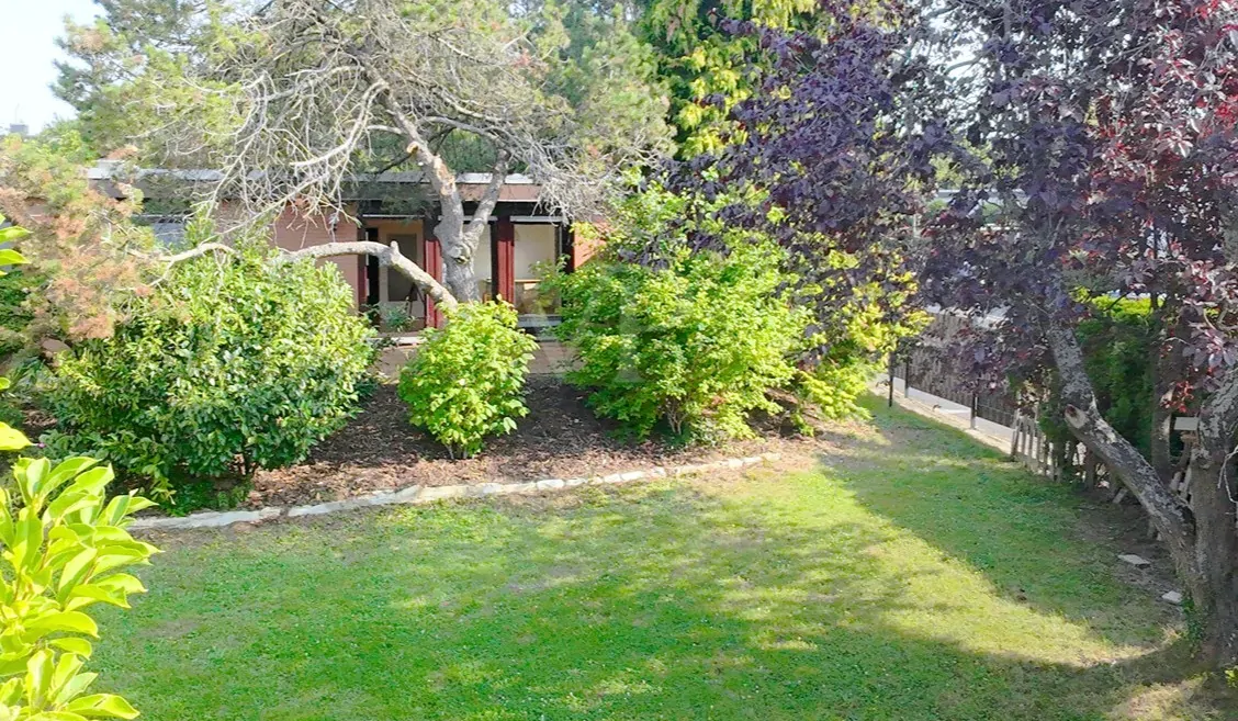 Garten mit Hausansicht II