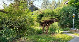 von_poll_real_estate_property_25002076_image_4