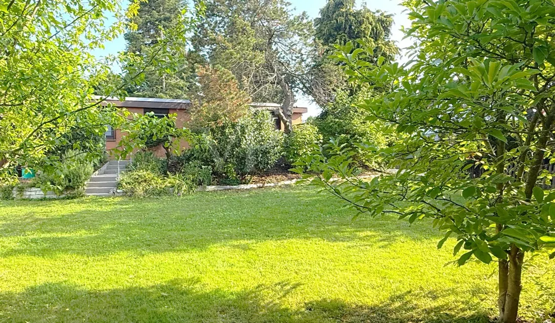 Garten mit Hausansicht I