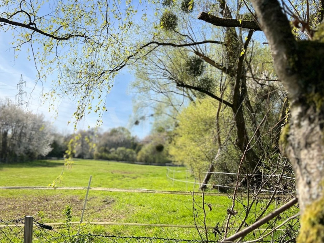 Ausblick Umgebung