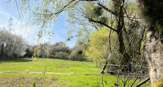 von_poll_real_estate_property_25002031_image_4