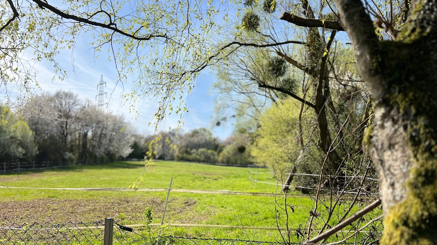 Ausblick Umgebung
