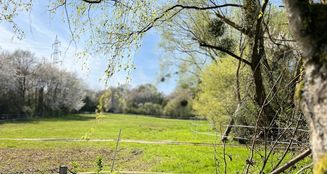 von_poll_real_estate_property_25002031_image_6