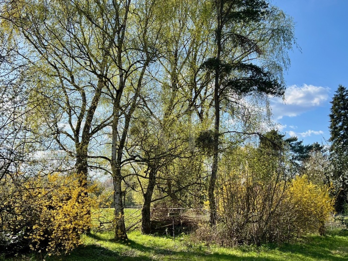 Garten 2