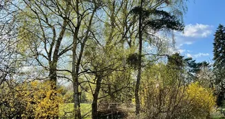 von_poll_real_estate_property_25002031_image_6