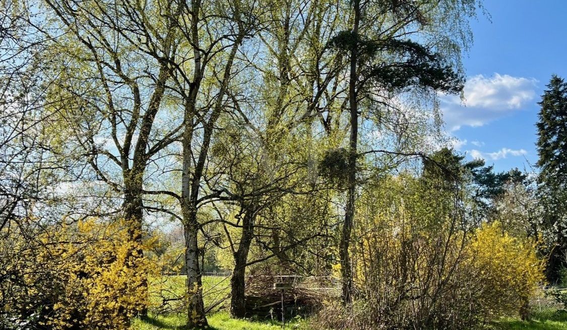 Garten 2