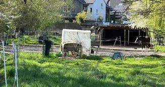 von_poll_real_estate_property_25002031_image_3