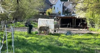 von_poll_real_estate_property_25002031_image_4