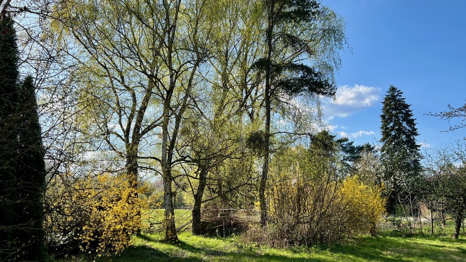 Garten 2
