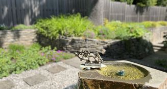 von_poll_real_estate_property_25002028_image_2