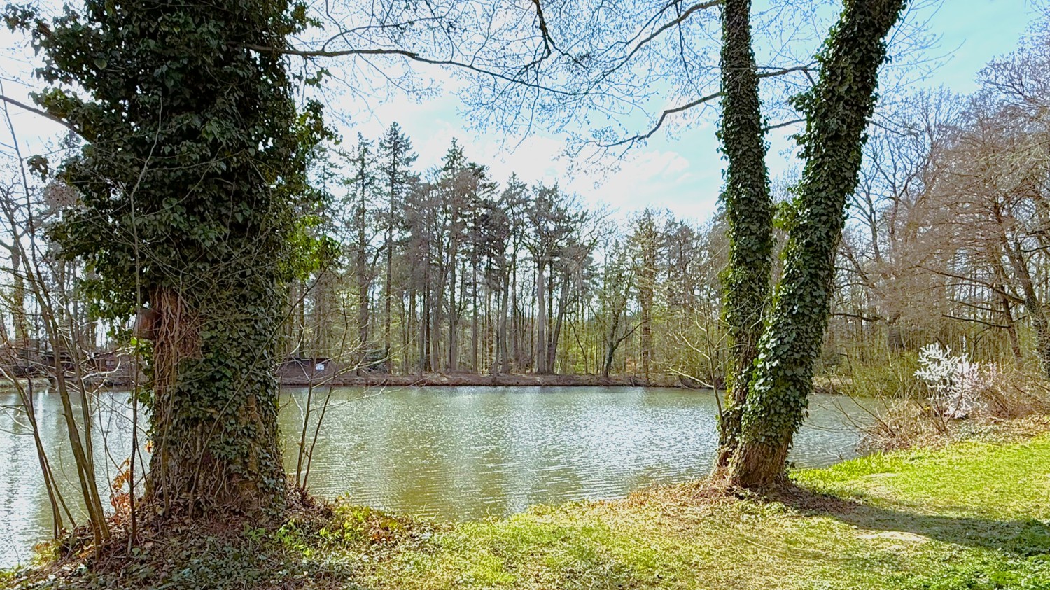 Blick auf den See