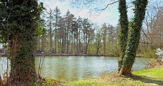 von_poll_real_estate_property_25002020_image_2